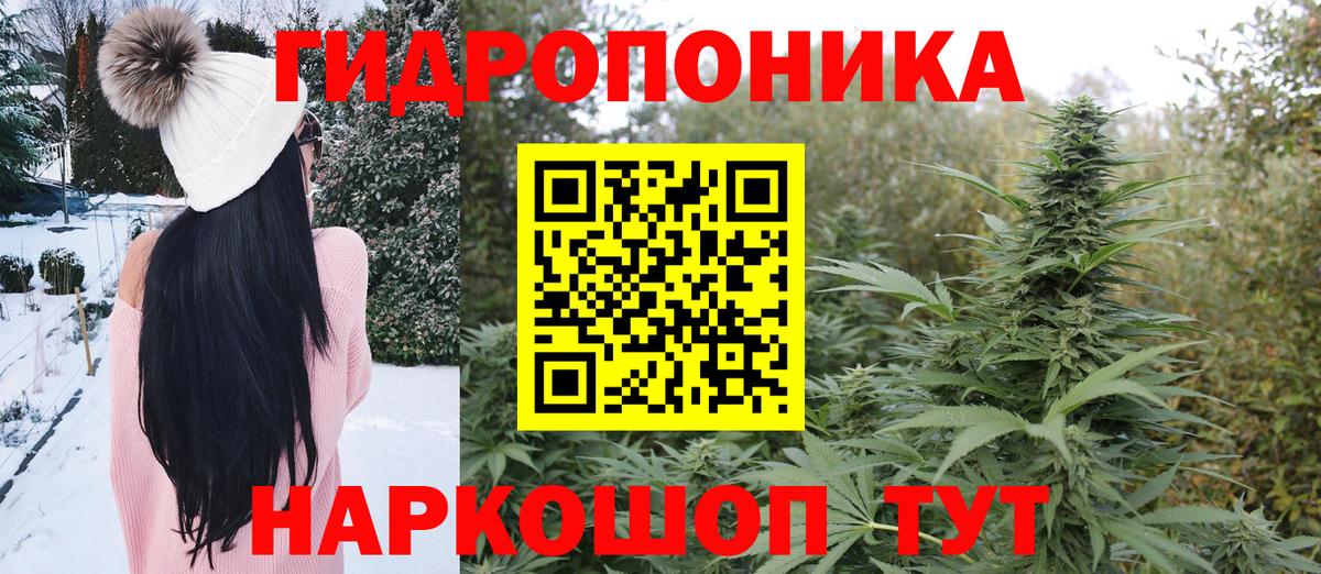 Канабис White Widow  Бошки марихуана сатива  Вход с VPN  Новороссийск  МАРИХУАНА SATIVA & INDICA 